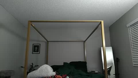 Rico online show from December 2024 05:09:02 AM