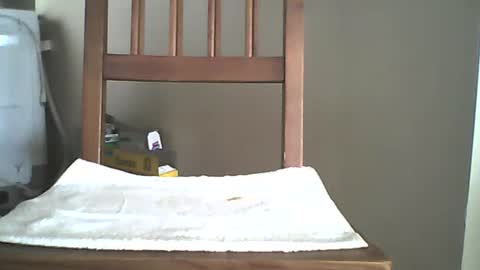 Snapshot of mrroarke chatting on September 2025 05:59:02 PM Longshot online show from September 2025 05:59:02 PM