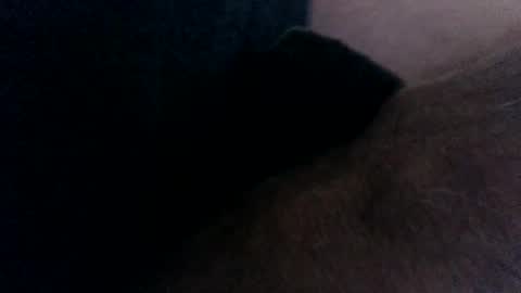 mrtongueopleasure online show from November 2025 09:24:02 PM