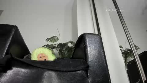 Goddess. Miss. Lady.  Queen. Madam Milady online show from February 2026 01:45:02 PM