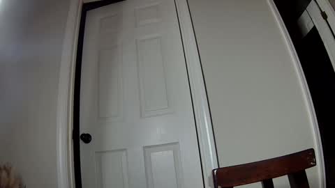 missqueenbbw online show from December 2024 03:37:02 AM