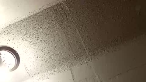 Snapshot of msalls1124 chatting on January 2026 02:57:02 AM melissa online show from January 2026 02:57:02 AM