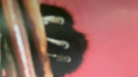 msduss351 online show from February 2025 01:08:02 PM