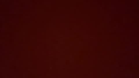 msxina online show from April 2026 07:27:01 AM