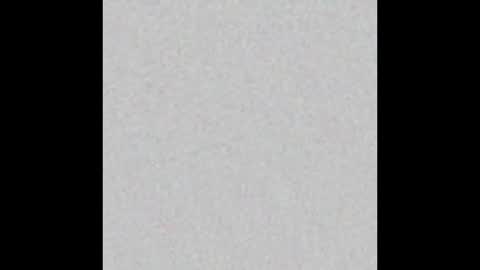 Snapshot of mtp14 chatting on February 2025 08:41:01 AM mtp14 online show from February 2025 08:41:01 AM