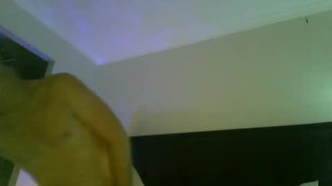 mudjimba online show from December 2024 02:56:01 PM