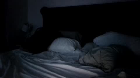 mudjimba online show from December 2024 06:27:02 PM