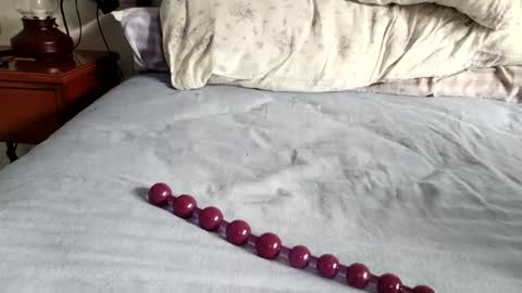 Snapshot of mulato44 chatting on November 2025 08:36:02 AM Laly online show from November 2025 08:36:02 AM