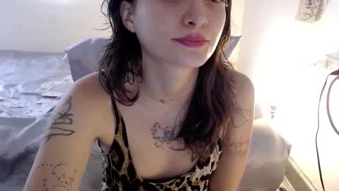   online show from February 2026 08:35:01 PM