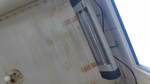 handsome sexy muscular man online show from September 2025 06:15:02 AM