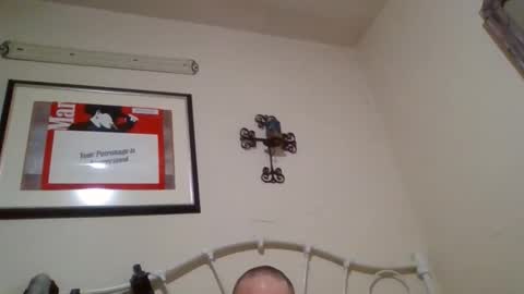 mustang2020gt123 online show from February 2026 11:27:01 AM