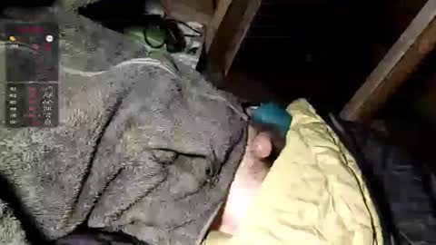 Snapshot of mxdnxss chatting on September 2025 05:12:01 AM Maty online show from September 2025 05:12:01 AM