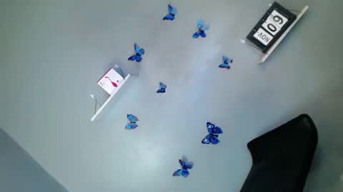 jasmine online show from November 2025 01:20:01 PM