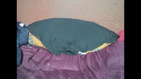 myaldiah online show from February 2025 04:04:01 PM