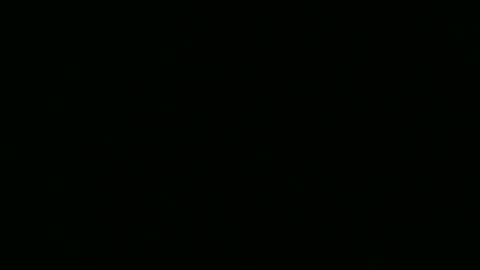 Sam online show from February 2025 03:08:02 PM