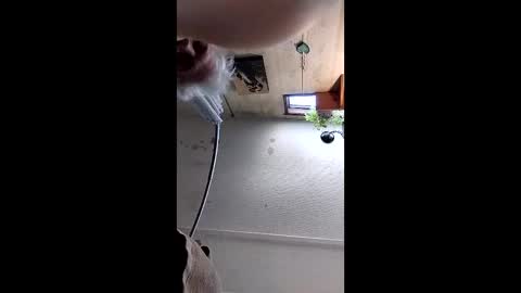 Mynutts online show from December 2025 03:06:01 PM