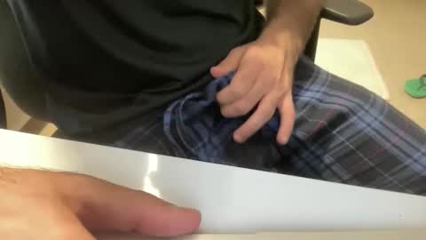 myStallion online show from November 2025 09:20:01 AM