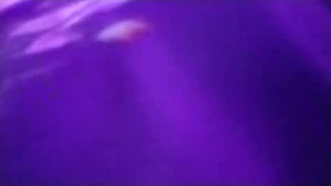 Snapshot of n298033 chatting on September 2025 05:05:02 PM n298033 online show from September 2025 05:05:02 PM