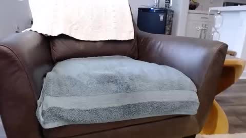 Snapshot of n2deeeep chatting on November 2025 03:55:02 PM Lynn online show from November 2025 03:55:02 PM