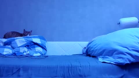 n3philim999 online show from October 2025 10:09:01 PM