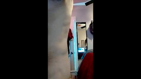 cheesechip online show from December 2025 12:50:02 AM