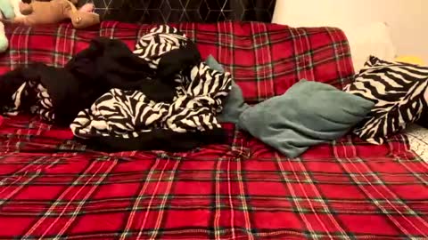 unable nkd life online show from December 2024 05:31:01 PM