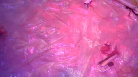 Snapshot of nakednate1780 chatting on December 2024 06:22:01 AM nakednate1780 online show from December 2024 06:22:01 AM