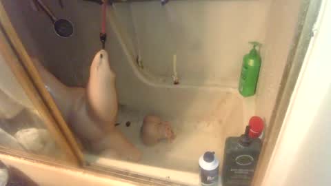 Snapshot of nakednate1780 chatting on February 2025 07:13:02 AM nakednate1780 online show from February 2025 07:13:02 AM