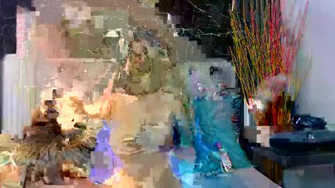 Snapshot of nalaroy chatting on December 2024 07:55:01 PM NALAROY online show from December 2024 07:55:01 PM