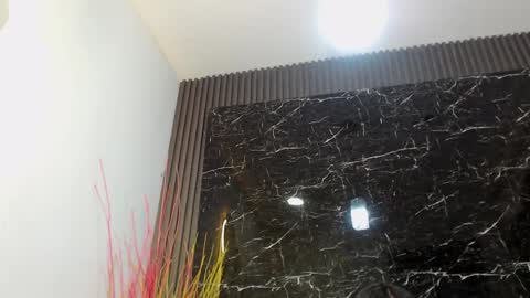 Snapshot of nalaroy chatting on December 2024 10:12:01 PM NALAROY online show from December 2024 10:12:01 PM