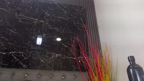 Snapshot of nalaroy chatting on January 2025 03:16:02 PM NALAROY online show from January 2025 03:16:02 PM