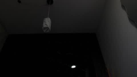 Snapshot of nalaroy chatting on February 2025 12:01:02 PM NALAROY online show from February 2025 12:01:02 PM