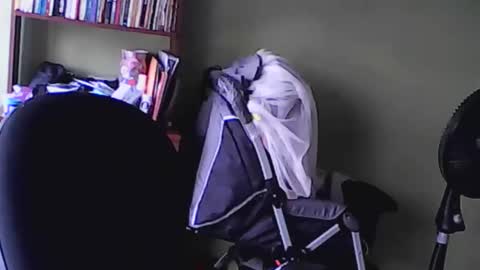 Snapshot of nana_666_ chatting on November 2025 09:20:01 PM nana_666_ online show from November 2025 09:20:01 PM