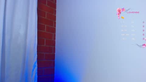 Snapshot of naomi_wong chatting on February 2025 12:08:02 AM Guys the page has lately failed. If you see me disconnected thats why.   online show from February 2025 12:08:02 AM