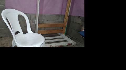 Snapshot of naomisimon chatting on January 2025 05:39:01 PM bellas2012 online show from January 2025 05:39:01 PM