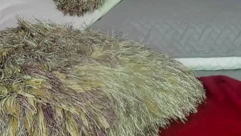 Snapshot of naomy_smithx chatting on December 2024 11:06:02 PM Naomy Smith online show from December 2024 11:06:02 PM