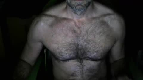 Snapshot of nardo74 chatting on February 2026 11:56:01 PM nardo74 online show from February 2026 11:56:01 PM