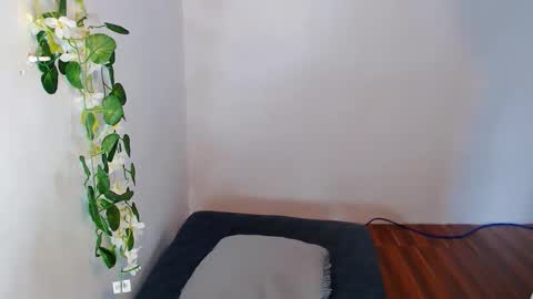 nashdiam online show from November 2025 07:23:02 AM