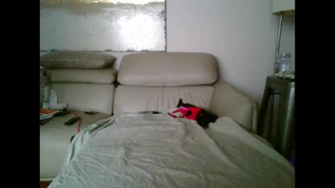 nassobout online show from October 2025 09:41:01 AM