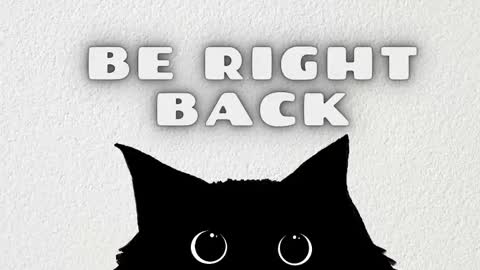 Nataly online show from January 2026 11:01:01 AM