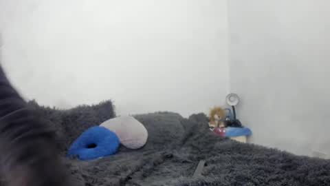 Nathaly online show from September 2025 06:19:01 PM