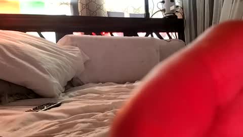 Haven online show from February 2025 05:03:02 PM