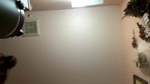 naturebabe666 online show from July 2026 10:53:01 AM