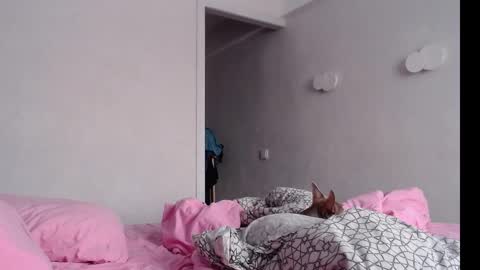 Snapshot of naughty_christie chatting on February 2025 04:05:01 AM Chris Carrie online show from February 2025 04:05:01 AM