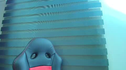 Kitten online show from February 2026 10:33:02 AM