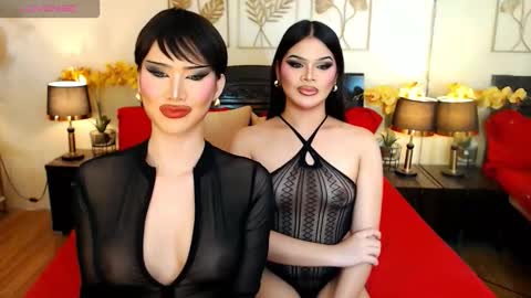 F R A N Z I A online show from February 2026 08:15:01 PM