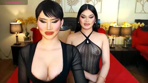 F R A N Z I A online show from February 2026 08:32:02 AM