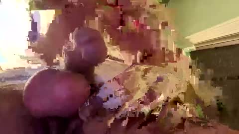 ndsckd online show from December 2024 10:50:02 AM