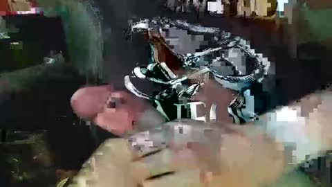 Snapshot of ndude123 chatting on January 2025 04:23:01 AM ndude123 online show from January 2025 04:23:01 AM