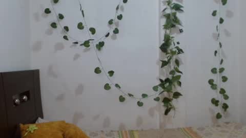 Neithanzyn online show from February 2025 10:10:02 PM